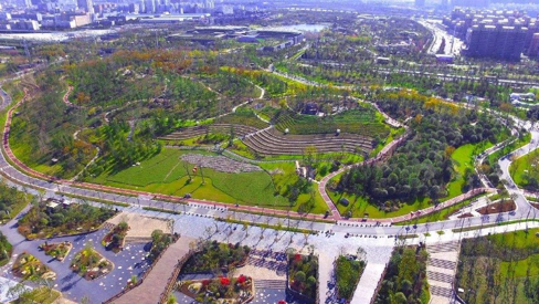 世界最大的生态修复案例——武汉市金口垃圾填埋场